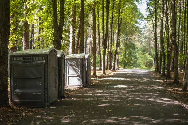 Best Affordable porta potty rental  in Liolnton, NC